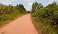 6 Acres For Sale In Namutumba Freehold At 60m Per Acre