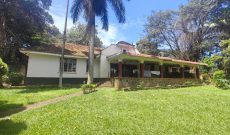 4 Bedrooms House For Sale In Kololo 50 Decimals At $1.4m