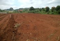 8000 Acres Of Freehold Land For Sale In Nabilatuk Karamoja At 3.5m Per Acre