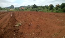 8000 Acres Of Freehold Land For Sale In Nabilatuk Karamoja At 3.5m Per Acre