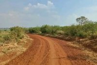 3.5 Square Miles Of Leasehold Farmland For Sale In Koch Akili Nwoya 3.5m Per Acre