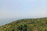 100 Acres Of Land For Sale In Kween District Elgon Region 3.5m Per Acre