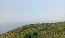 100 Acres Of Land For Sale In Kween District Elgon Region 3.5m Per Acre