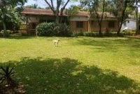 4 Bedrooms House For Rent In Mbuya Kampala 1,200 USD Per Month