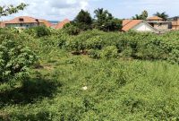 24 Decimals Plot Of Land For Sale In Muyenga Bukasa With Lake View 450m