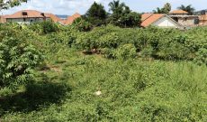 24 Decimals Plot Of Land For Sale In Muyenga Bukasa With Lake View 450m