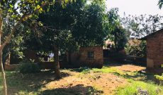 3 Acres Of Commercial Land For Sale In Bugolobi 2m USD Per Acre