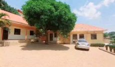 7 Rental Houses For Sale In Najjera 5.4m Monthly On 35 Decimals At 600m