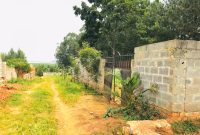 11 Decimals Lake View Land For Sale In Kigo Serena 110m