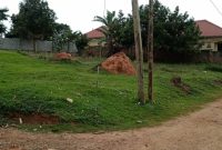 50x100fts Plot Of Land For Sale In Namugongo Town At 95m Shillings