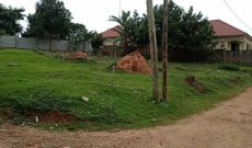 50x100fts Plot Of Land For Sale In Namugongo Town At 95m Shillings