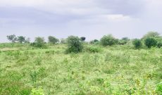 280 Acres Of Land For Sale In Kamira Kikyusa At 3.5m Per Acre