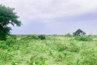 Farm Land for Sale in Lukaya, touching Katonga River