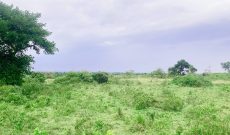 Farm Land for Sale in Lukaya, touching Katonga River