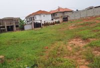 Plot Of Land Measuring 50x100ft For Sale In Kira At 97m