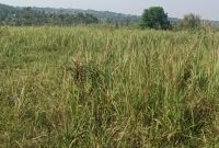 2 Square Miles Of Freehold Land For Sale In Isingiro At 18m Per Acre