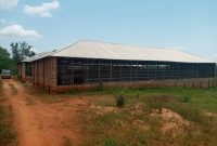 13.5 Acres Of Matooke And Poultry Farm For Sale In Kirolo Matugga at 850m