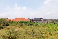 23 Decimals Plot Of Land For Sale In Kira Bulindo At 230m