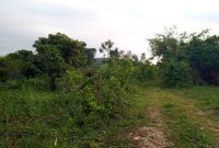 5.5 Square Miles Of Land For Sale In Masaka Lukaya At 3.5m Per Acre