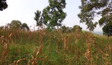 480 Acres Of Land For Sale In Walusubi Mukono At 150m Per Acre