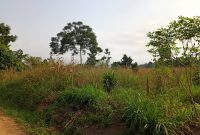 200 Acres Of Land For Sale In Nabyewanga, Mpigi Masaka Road 18m Per Acre