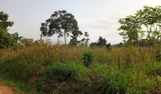 200 Acres Of Land For Sale In Nabyewanga, Mpigi Masaka Road 18m Per Acre