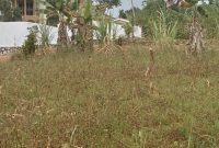 12 Decimals Plot Of Land For Sale In Kitende Lumuli At 55m