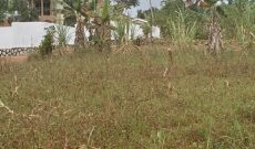 12 Decimals Plot Of Land For Sale In Kitende Lumuli At 55m