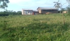 100 Acres Of Farmland For Sale In Nakaseke Butalangu At 11m Per Acre