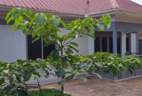 3 Bedrooms House For Sale In Kitende Entebbe Road At 250m