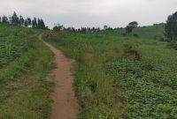 10 Acres Land For Sale In Bukomero Hoima Road At 8.5m Per Acre