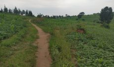 10 Acres Land For Sale In Bukomero Hoima Road At 8.5m Per Acre