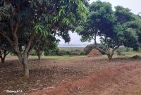 1 Acre Lake View Land For Sale In Garuga Entebbe Road At 600m