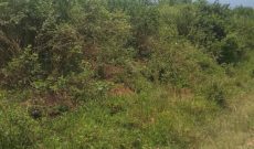 1 Square Mile Of Farmland For Sale In Kayunga On River Nile 4.5m Per Acre