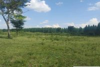 700 Acres Of Farmland For Sale In Kyankwanzi At 5.5m Per Acre