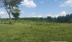 700 Acres Of Farmland For Sale In Kyankwanzi At 5.5m Per Acre