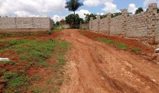 Kira Mamerito road 12 decimals with ready title at only 90m ugx