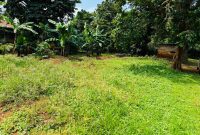 12 Decimals Plot Of Land For Sale In Buziga At 370m