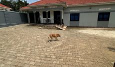 4 Bedrooms House For Sale In Lweza Katosi Road In Mukono 100x100ft At 280m