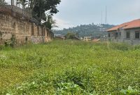 18 Decimals Plot Of Land For Sale In Naguru Hill 200,000 USD