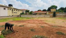 43 Decimals Plot Of Land For Sale In Bunga Kawuku At 830m