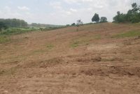 Plots Of 50x100ft For Sale In Gayaza Kiwenda Nazareth At 15m Per Plot