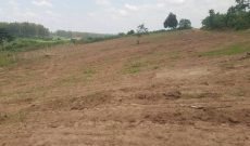 Plots Of 50x100ft For Sale In Gayaza Kiwenda Nazareth At 15m Per Plot