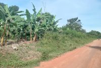 18 Acres Of Land For Sale In Luwero Watuba At 15m Shillings Per Acre