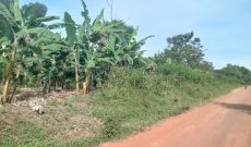 18 Acres Of Land For Sale In Luwero Watuba At 15m Shillings Per Acre