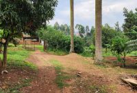 5 Acres Of Land For Sale In Bweyogerere Ntebetebe At 250m Per Acre