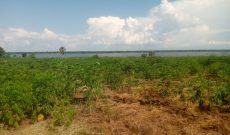 7 Acres Nile River Front Land For Sale In Pakwach With Freehold Tenure At 55m Per Acre