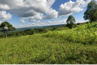 10 Acres Of Land For Sale In Bombo Kalule Near Tarmac At 35m Per Acre