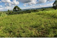 80 Acres Of Farmland For Sale In Kituuma Kikandwa In Mityana Off Hoima Road At 13m Per Acre