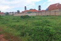 100x100ft Plot Of Land For Sale In Kira Parliamentary SACCO Estate Nsasa At 175m